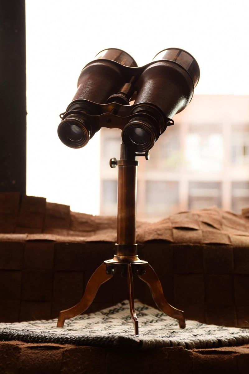 TP Roll Binoculars