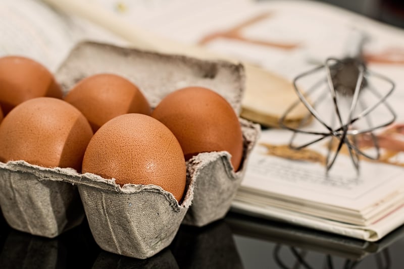 Egg Carton Critters